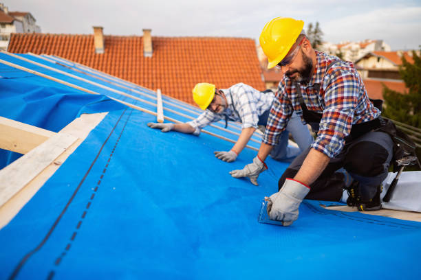 Best Chimney Flashing Repair  in De Leon, TX