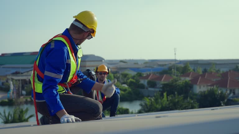 Best Roof Moss and Algae Removal  in De Leon, TX