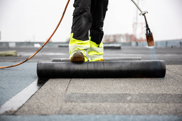 Best Steel Roofing  in De Leon, TX